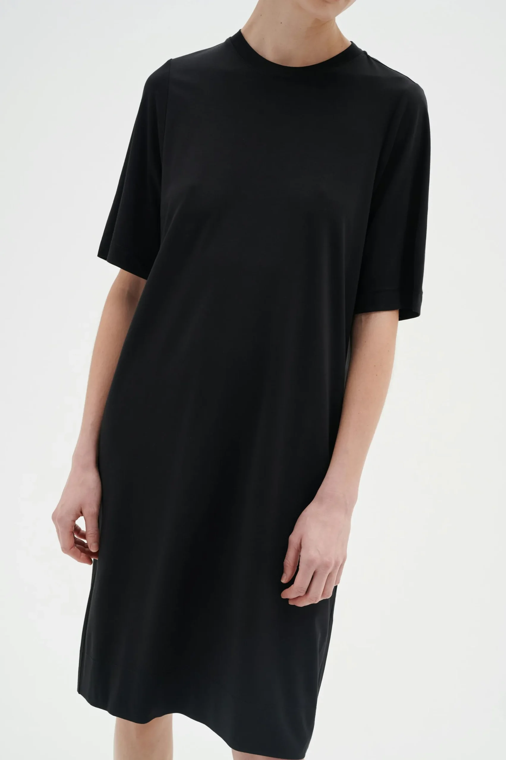 InWear VosieIW Kjole* Kjoler